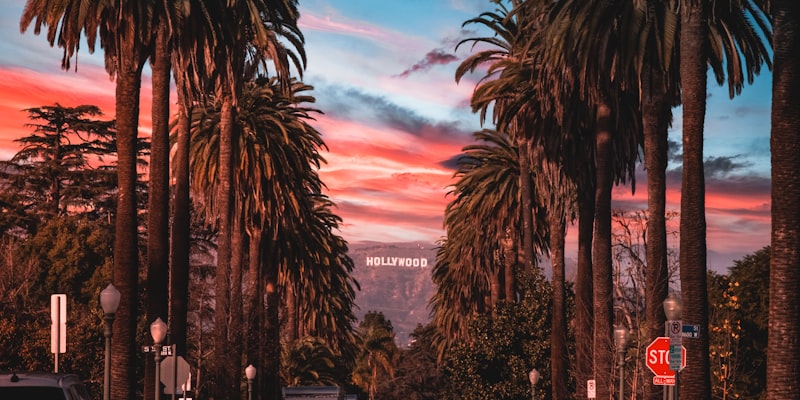 美国洛杉矶SoFi体育场夜景与灯光秀